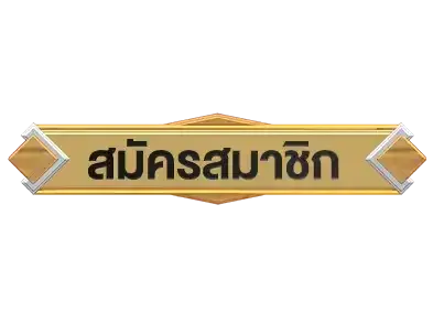 palo55 สมัคร